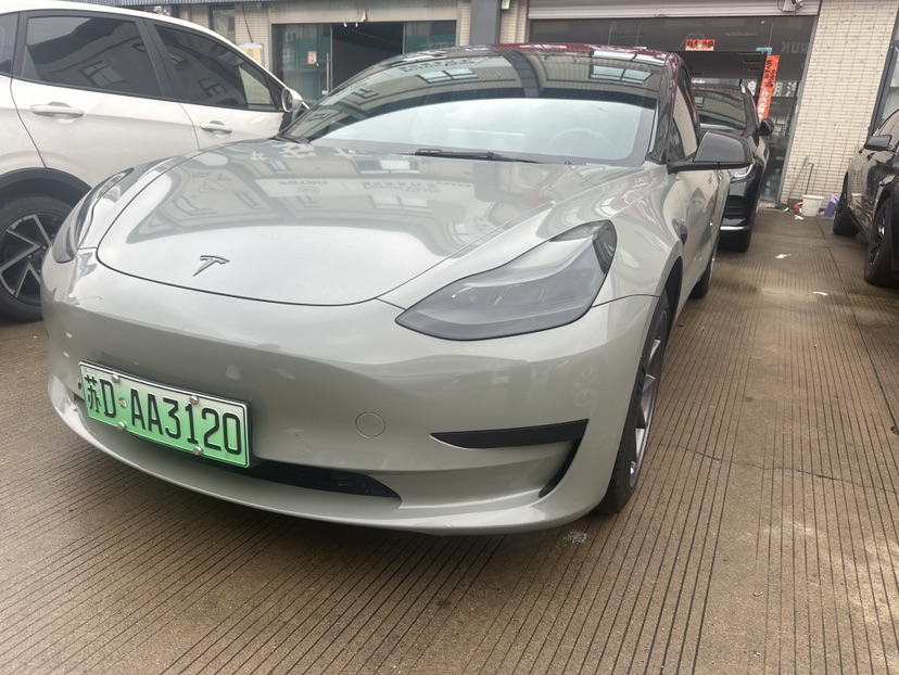 Tesla Model 3 2021 Tesla Model 3 2021 car image