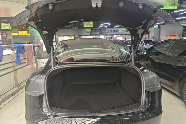 Tesla Model 3 2023 #19 Tesla Model 3 2023 car image #19