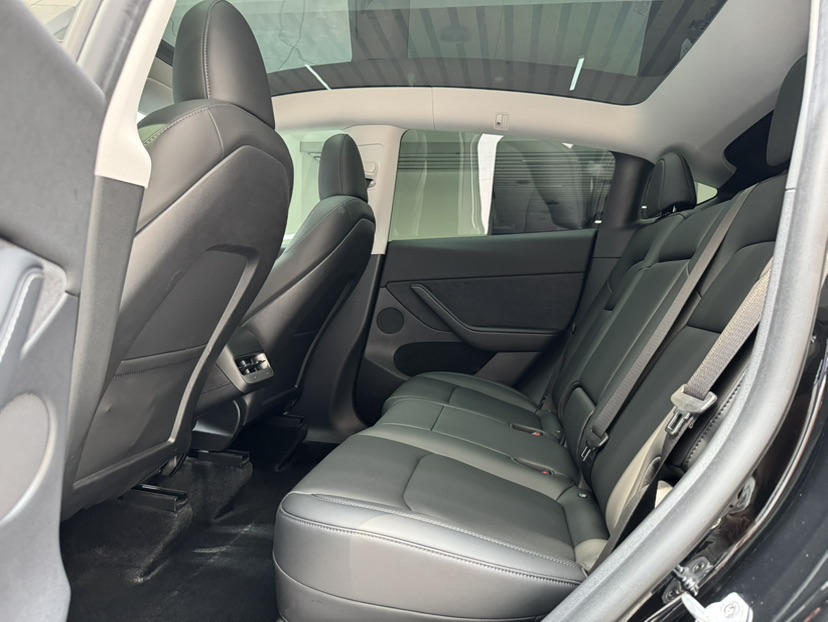 Tesla Model Y 2023 car image #13
