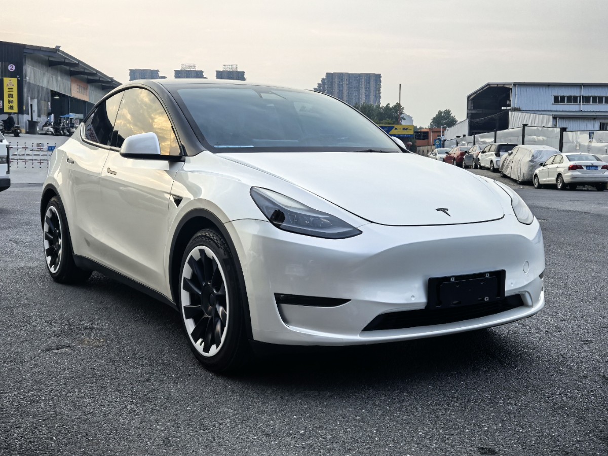 Tesla Model Y 2022 #3 Tesla Model Y 2022 car image #3