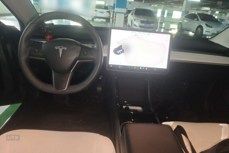 Tesla Model 3 2020 immagine di auto #11