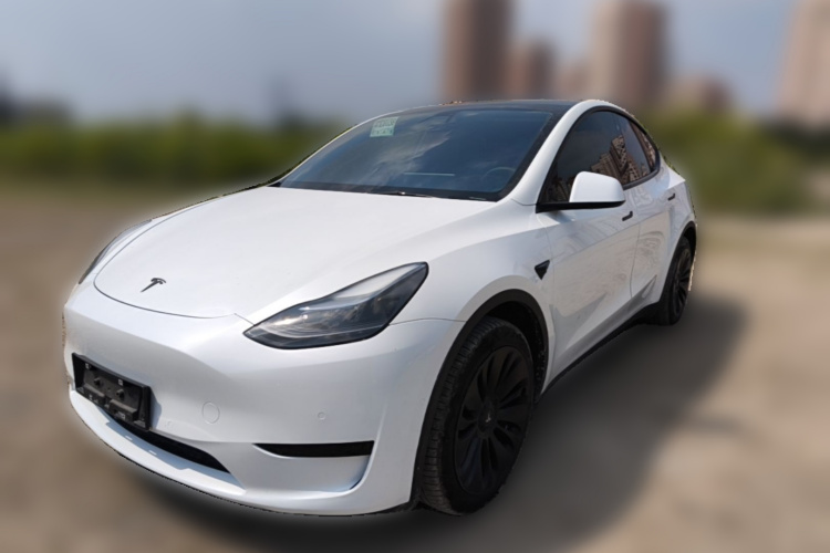Tesla Model Y 2022 immagine di auto #2