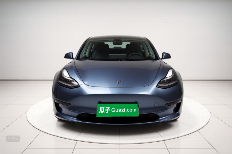 Tesla Model 3 2021 #3 Tesla Model 3 2021 car image #3