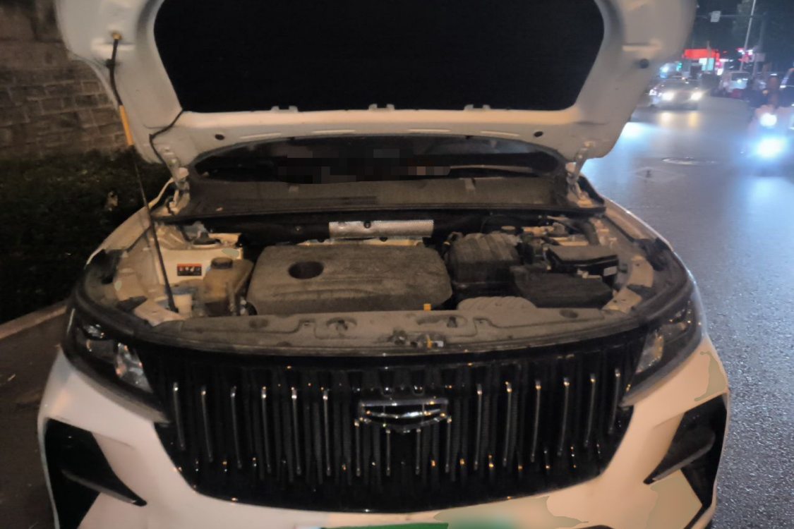GEELY Vision X6 2021 #10 GEELY Vision X6 2021 immagine di auto #10