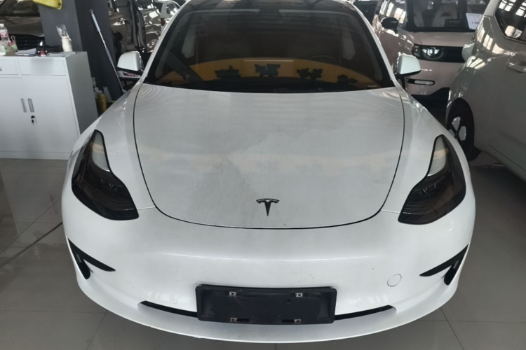 Tesla Model 3 2021 car image #3