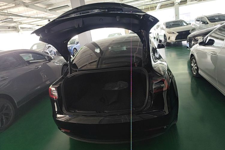 Tesla Model 3 2021 #21 Tesla Model 3 2021 car image #21