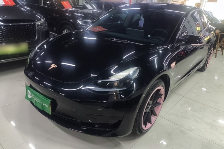 Tesla Model 3 2023 #2 Tesla Model 3 2023 car image #2