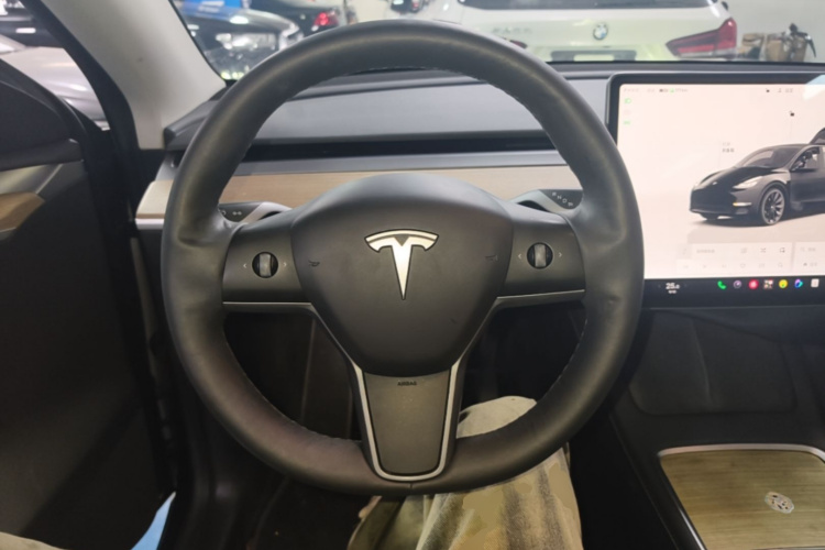Tesla Model Y 2022 #15 Tesla Model Y 2022 car image #15