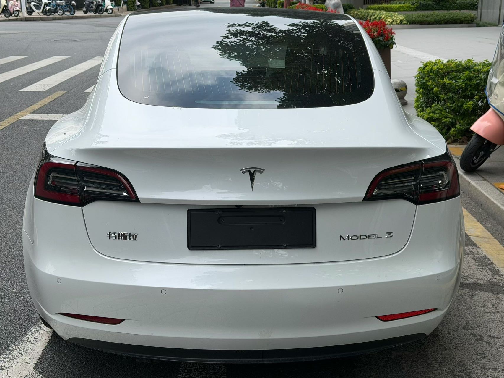 Tesla Model 3 2020 car image #8