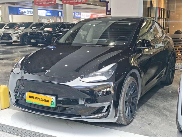 Tesla Model Y 2021 car image #10