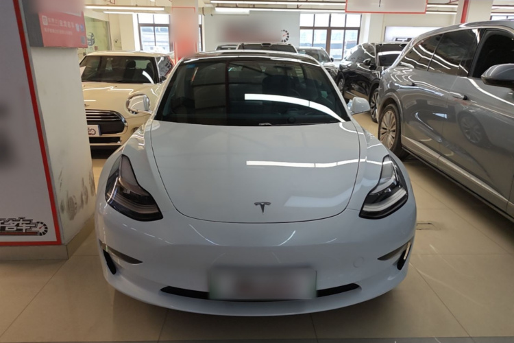 Tesla Model 3 2020 #3 Tesla Model 3 2020 car image #3