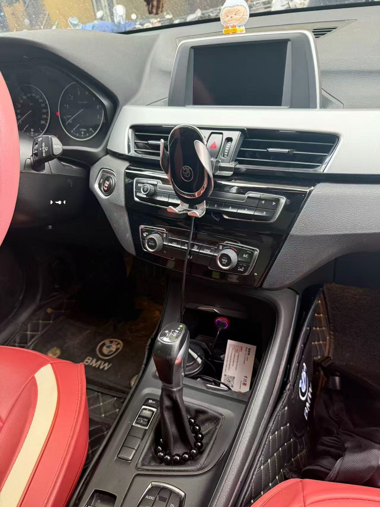 BMW X1 2016 car image #6