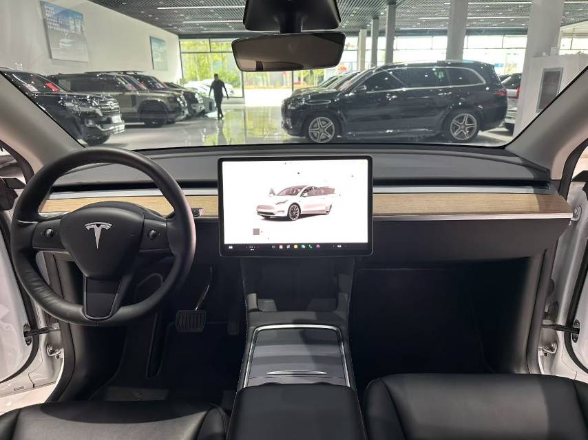 Tesla Model Y 2023 #10 Tesla Model Y 2023 car image #10