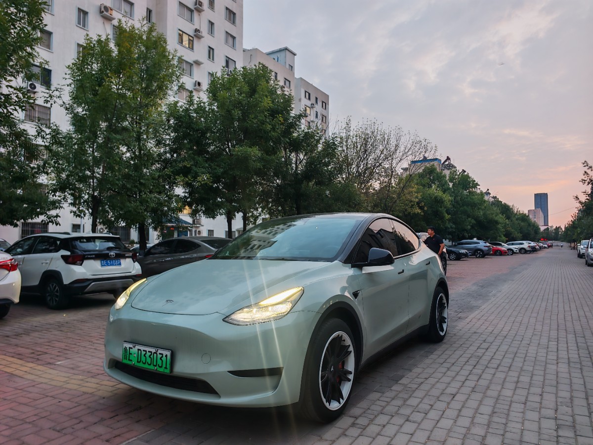 Tesla Model Y 2024 car image 