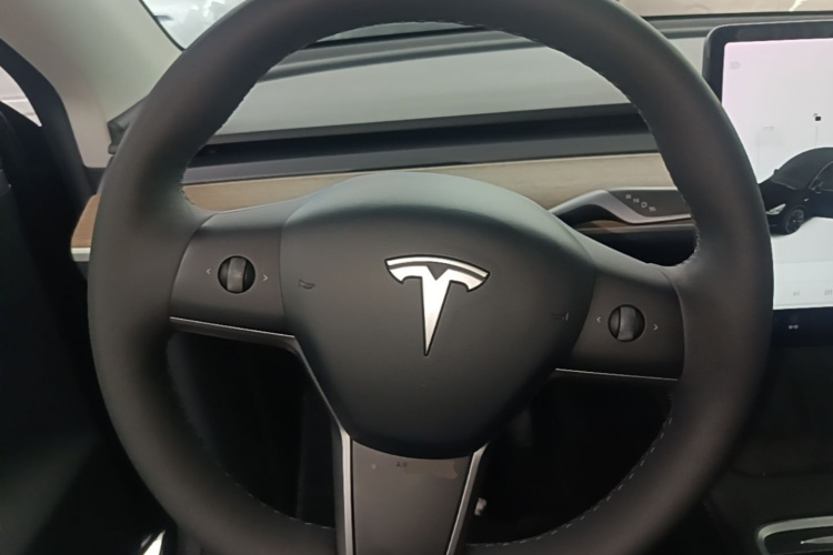 Tesla Model Y 2021 immagine di auto #11