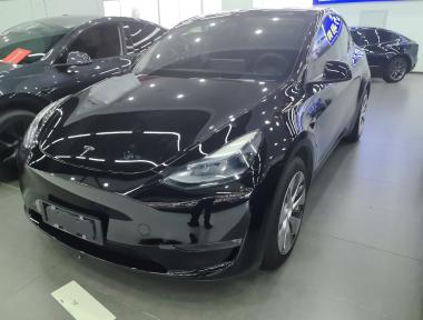 Tesla Model Y 2021 Tesla Model Y 2021 car image
