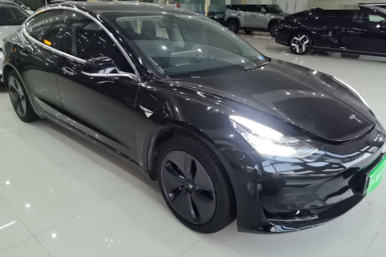 Tesla Model 3 2020 car image #6