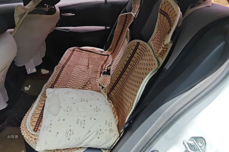 Toyota Corolla 2022 car image #19