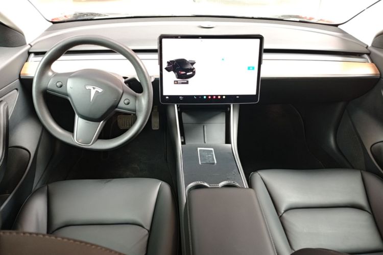 Tesla Model 3 2020 immagine di auto #10