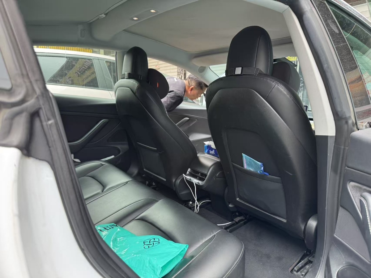 Tesla Model 3 2020 immagine di auto #7