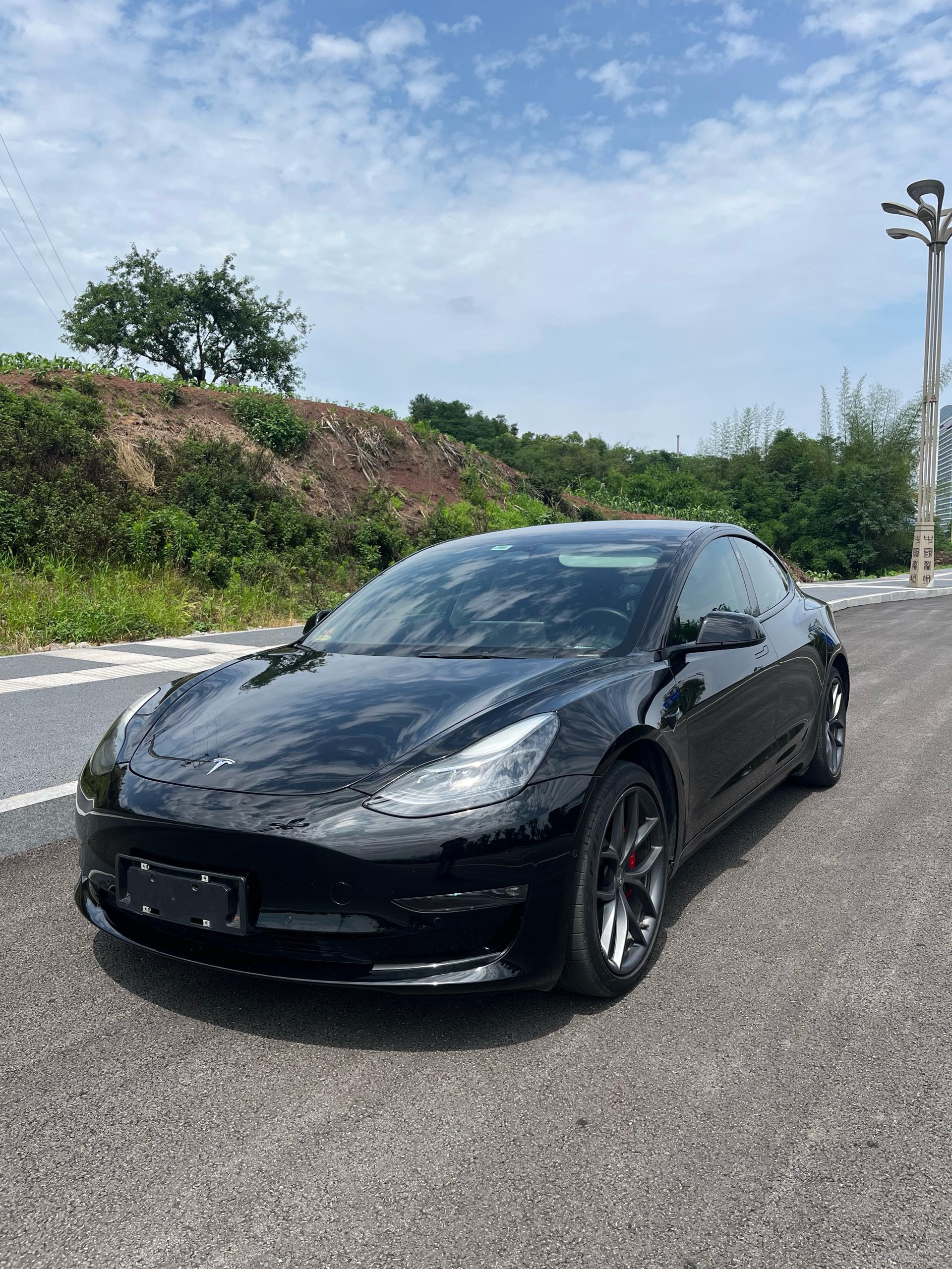 Tesla Model 3 2022 Tesla Model 3 2022 car image