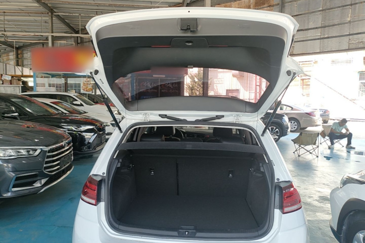 Volkswagen Golf 2018 car image #19