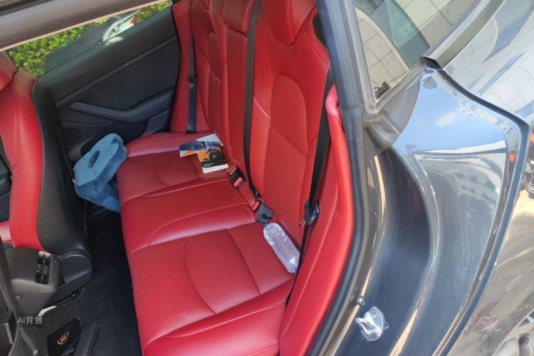 Tesla Model 3 2021 car image #19