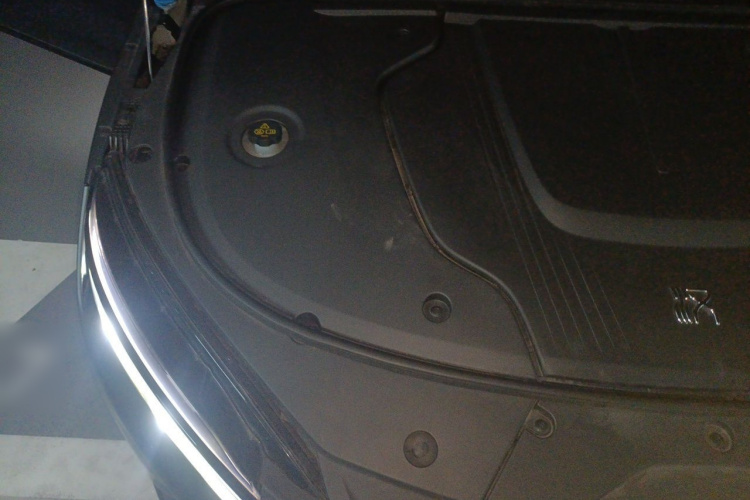 BYD Han 2021 car image #28