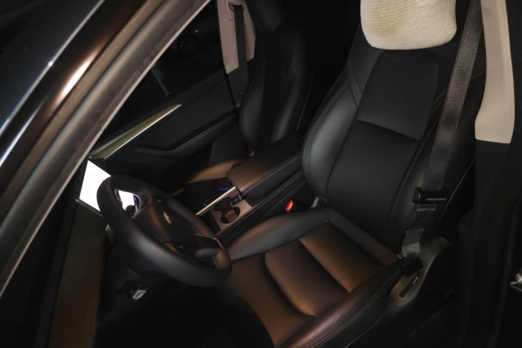 Tesla Model Y 2023 #15 Tesla Model Y 2023 car image #15