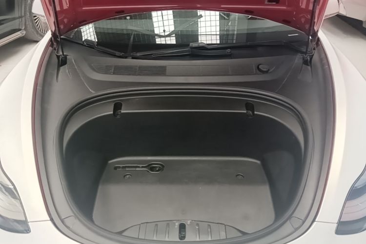 Tesla Model 3 2020 #22 Tesla Model 3 2020 car image #22