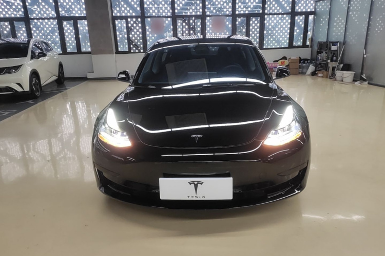Tesla Model 3 2021 #3 Tesla Model 3 2021 car image #3