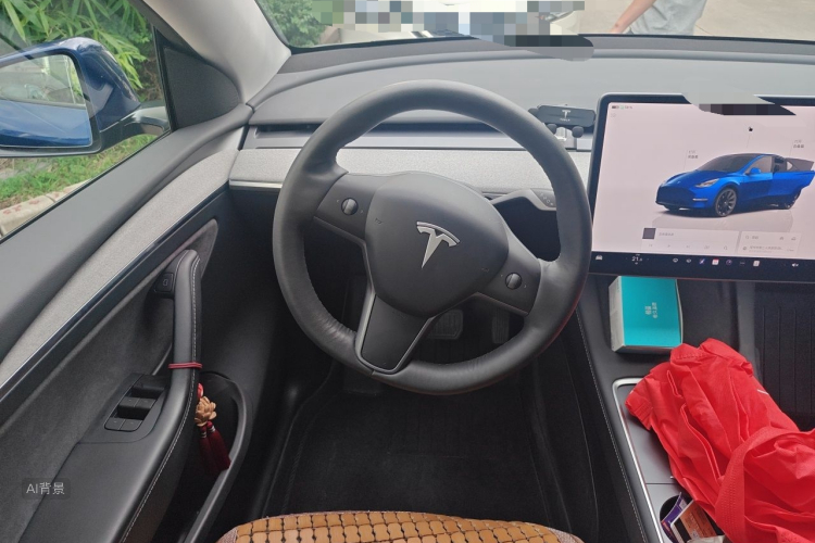 Tesla Model Y 2023 car image #12