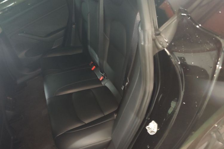 Tesla Model 3 2021 car image #17