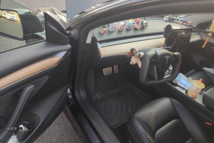 Tesla Model 3 2021 #18 Tesla Model 3 2021 car image #18