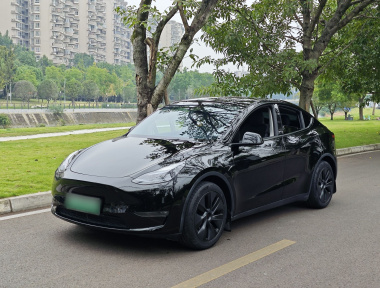 Tesla Model Y 2024 immagine di auto 