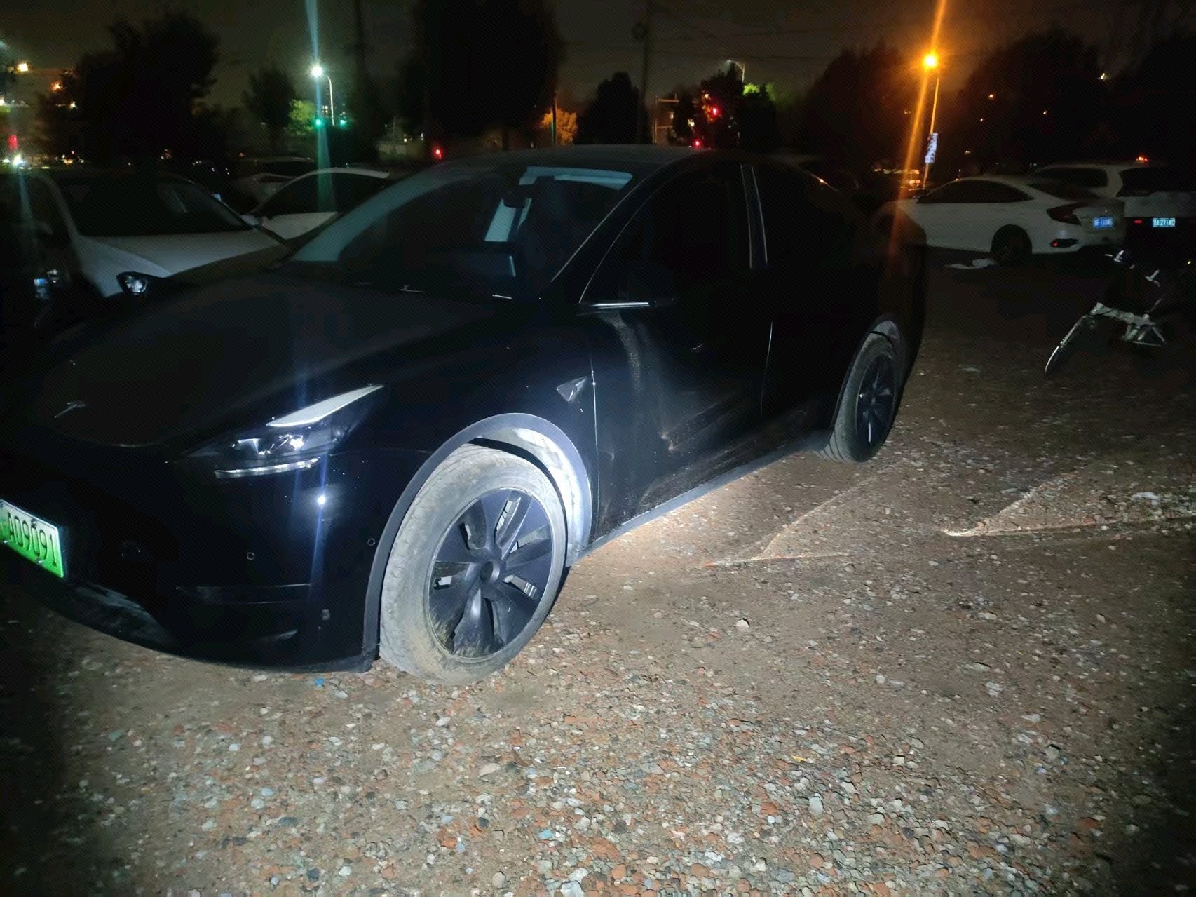 Tesla Model Y 2024 car image 
