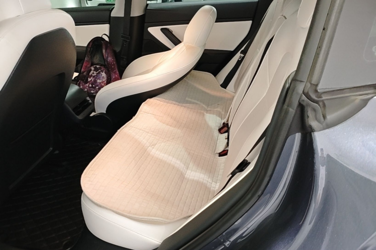 Tesla Model 3 2020 #17 Tesla Model 3 2020 car image #17