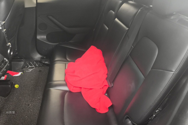 Tesla Model Y 2022 car image #19