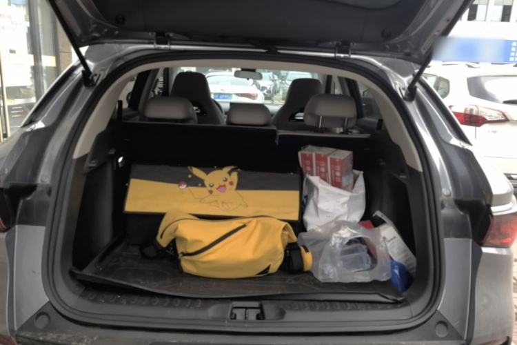 BYD Yuan Plus 2025 car image #19