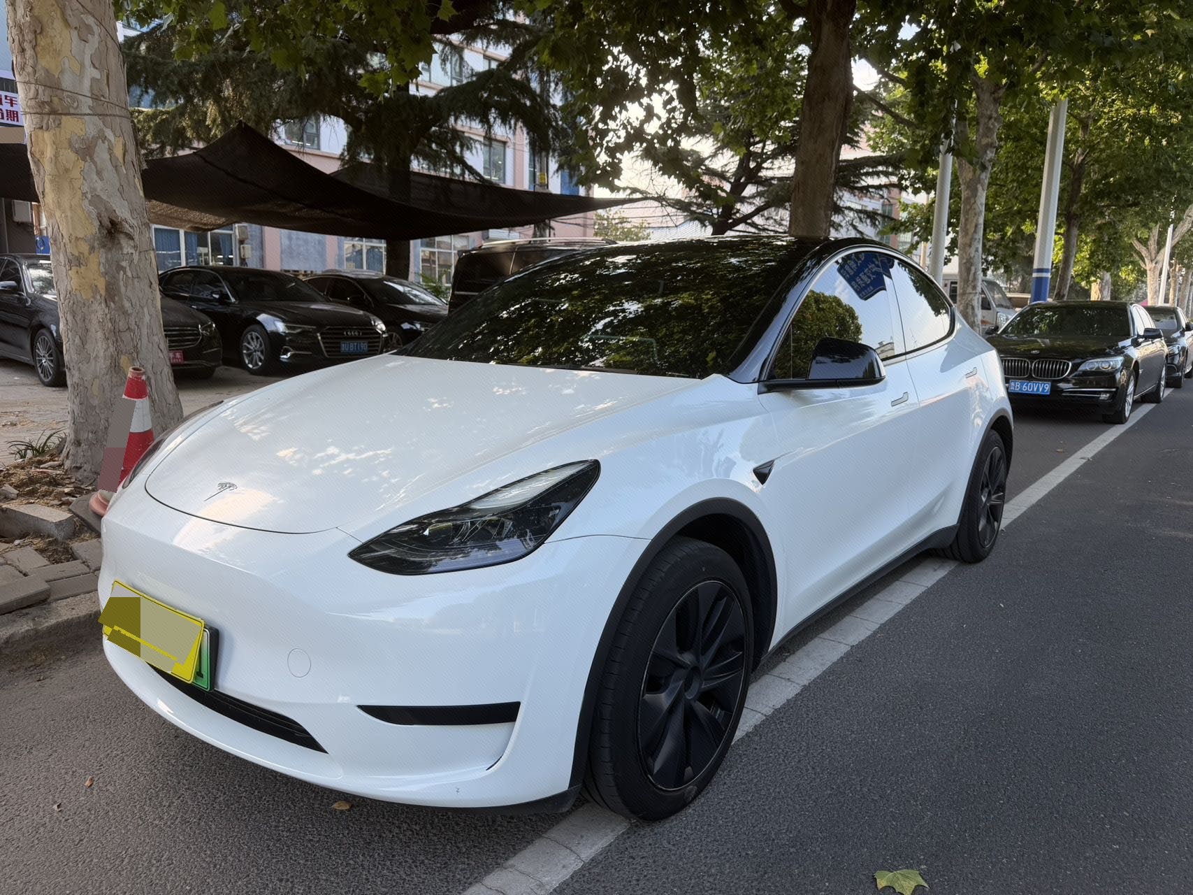 Tesla Model Y 2024 Tesla Model Y 2024 car image