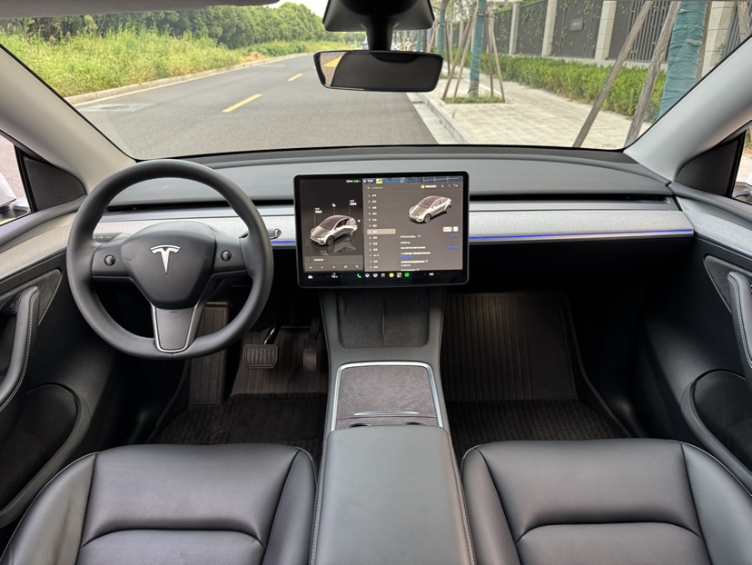Tesla Model Y 2024 car image #8