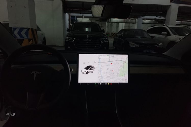 Tesla Model 3 2020 car image #12
