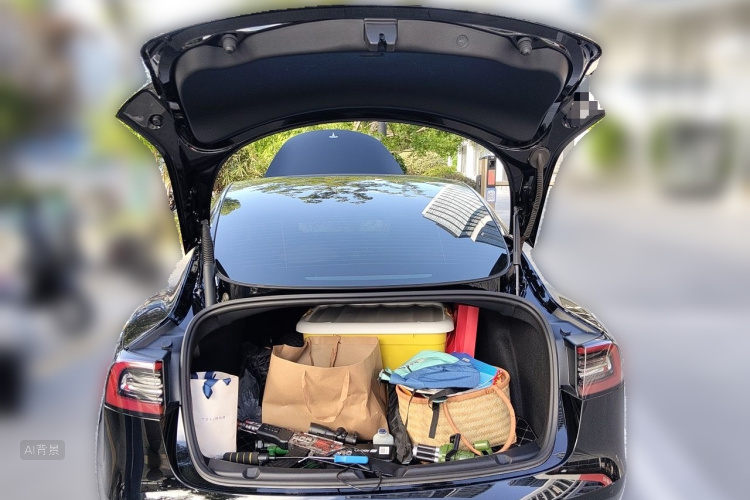 Tesla Model 3 2021 car image #21