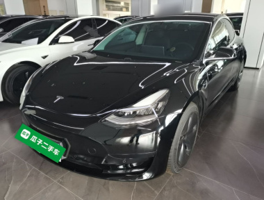 Tesla Model 3 2020 car image 