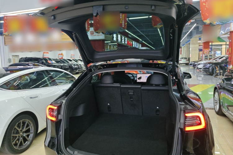 Tesla Model Y 2023 car image #19