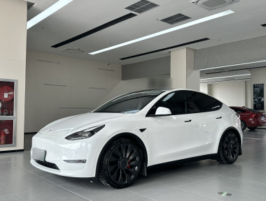 Tesla Model Y 2022 Tesla Model Y 2022 car image