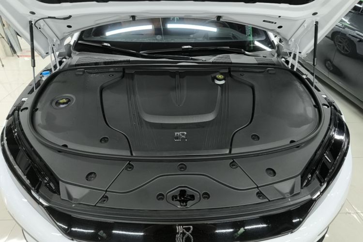 BYD Han 2023 car image #20