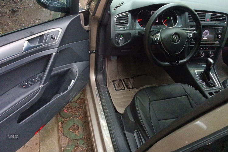 Volkswagen Golf 2018 car image #18