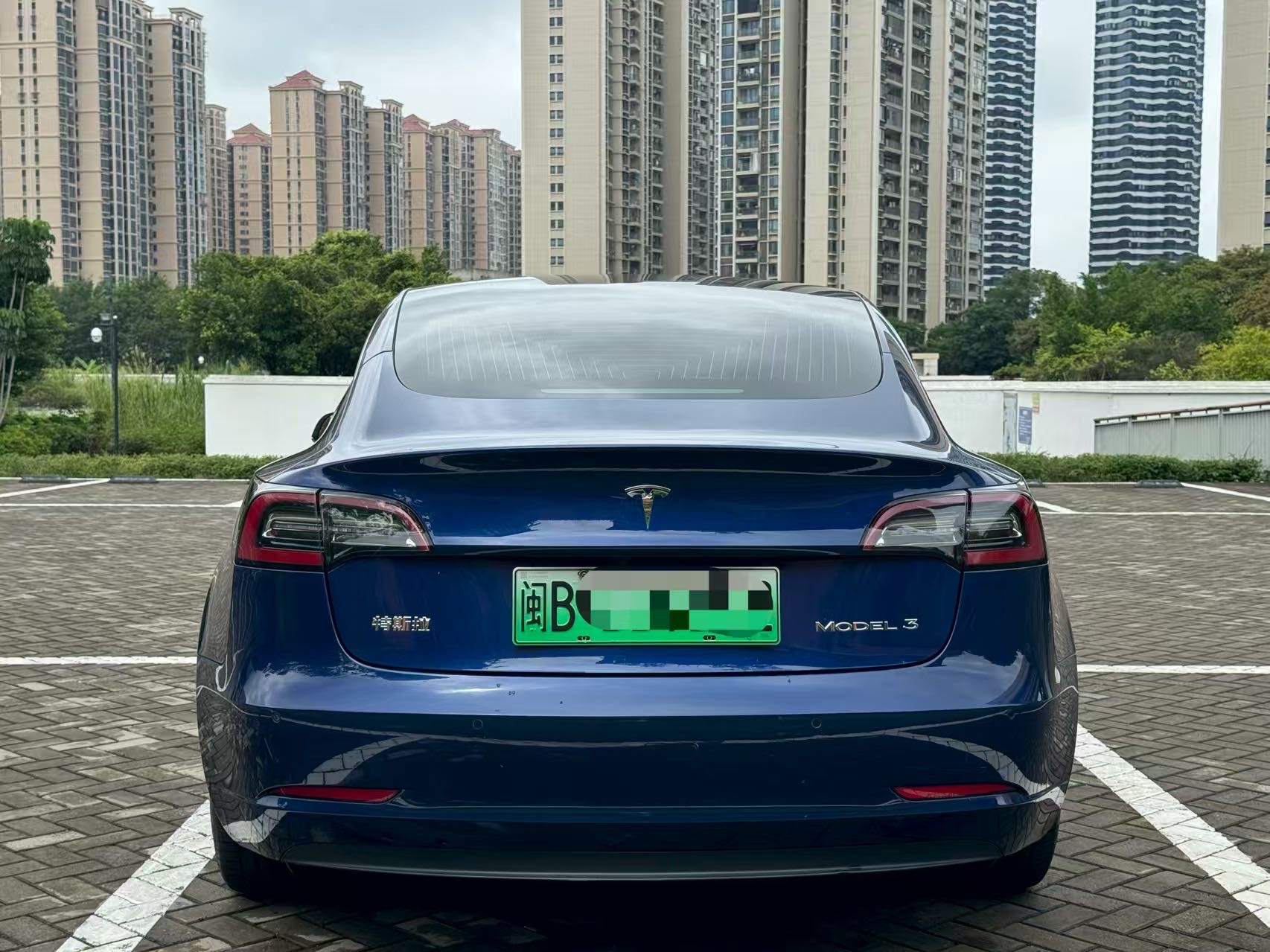 Tesla Model 3 2020 car image #8