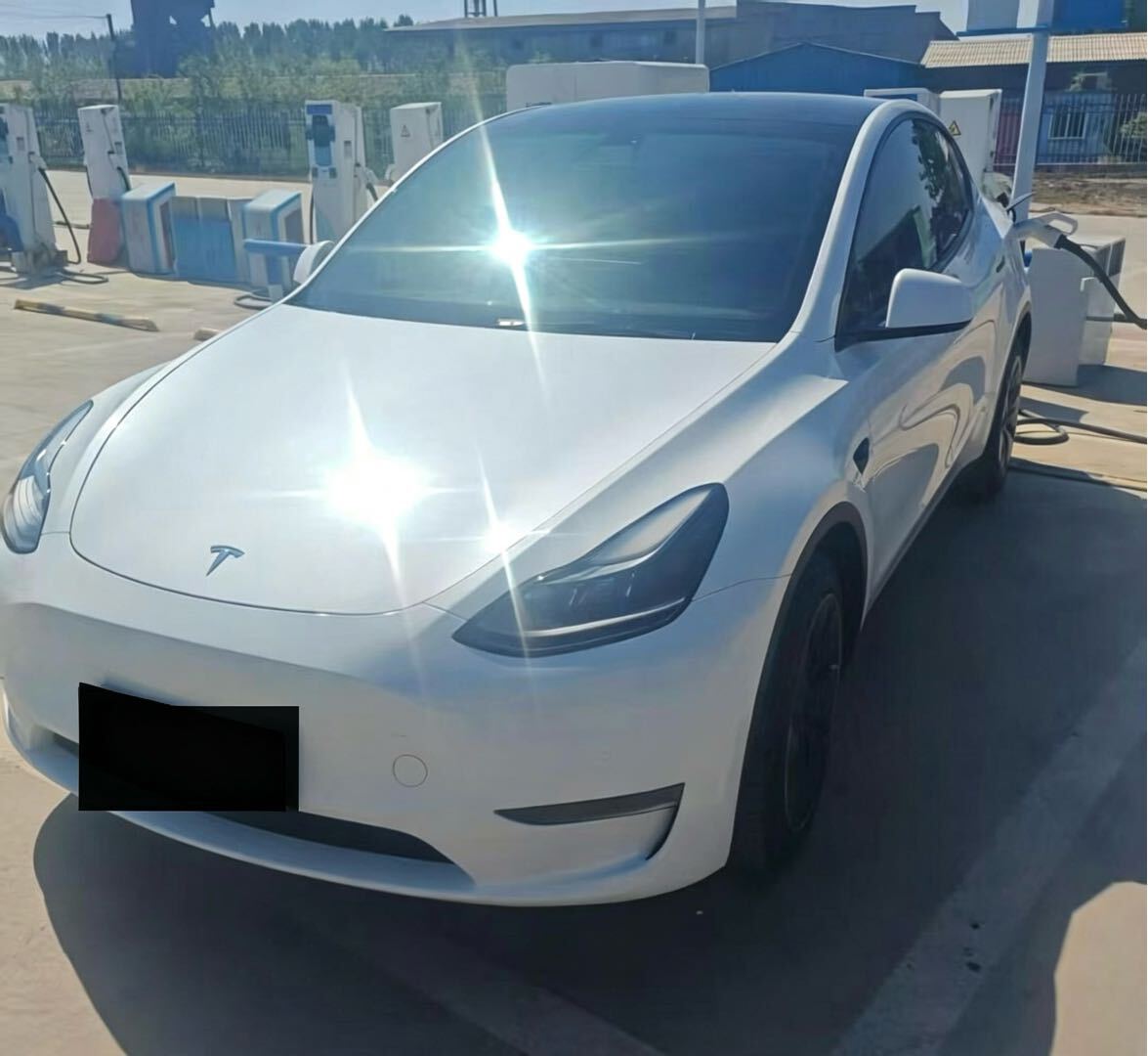Tesla Model Y 2023 Tesla Model Y 2023 car image